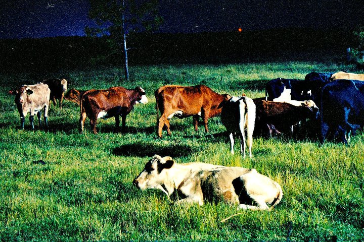 Florida’s Reckless and Rapid Development Poses Imminent Danger to&nbsp;SWFL