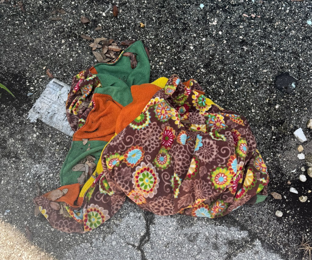 The current image has no alternative text. The file name is: img_0457.jpg